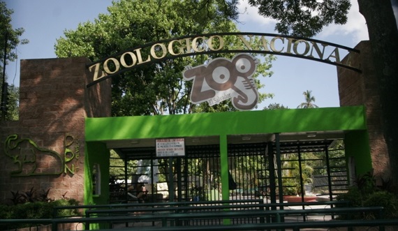 Reos ayudarán en la remodelación del Zoológico Nacional y parque Saburo Hirao reos-ayudaran-en-la-remodelacion-del-zoologico-nacional-y-parque-saburo-hirao